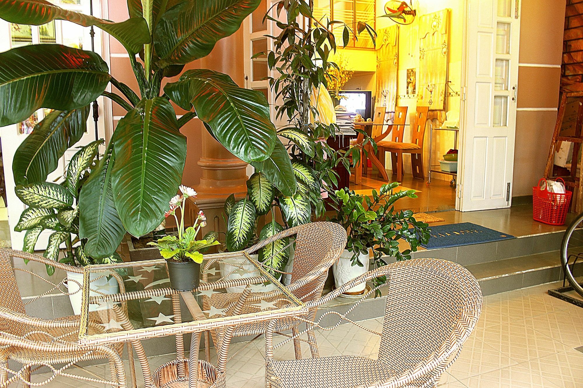 Quy Long Homestay Χόι Αν Εξωτερικό φωτογραφία